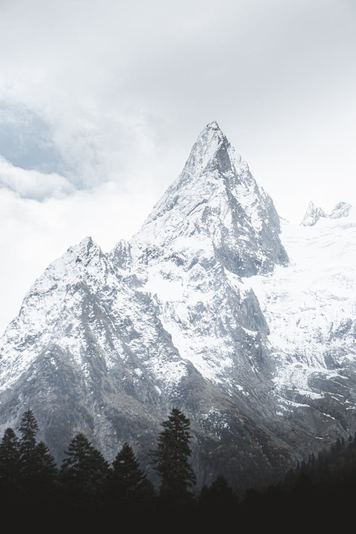 about-us Dramatic snow-covered mountain peak rising through cloudy winter sky with evergreen forest below.